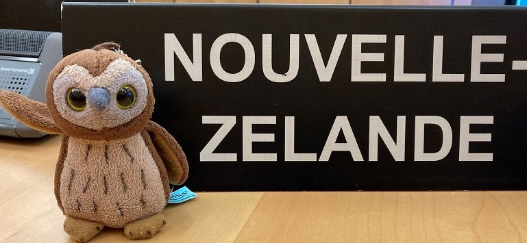 Photo of MBIE’s Trade and International team mascot ‘Ruru’ which is a Morepork (owl) that is native to New Zealand. Ruru accompanies team members to international meetings.